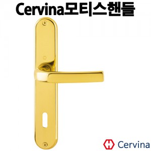 ǰ 